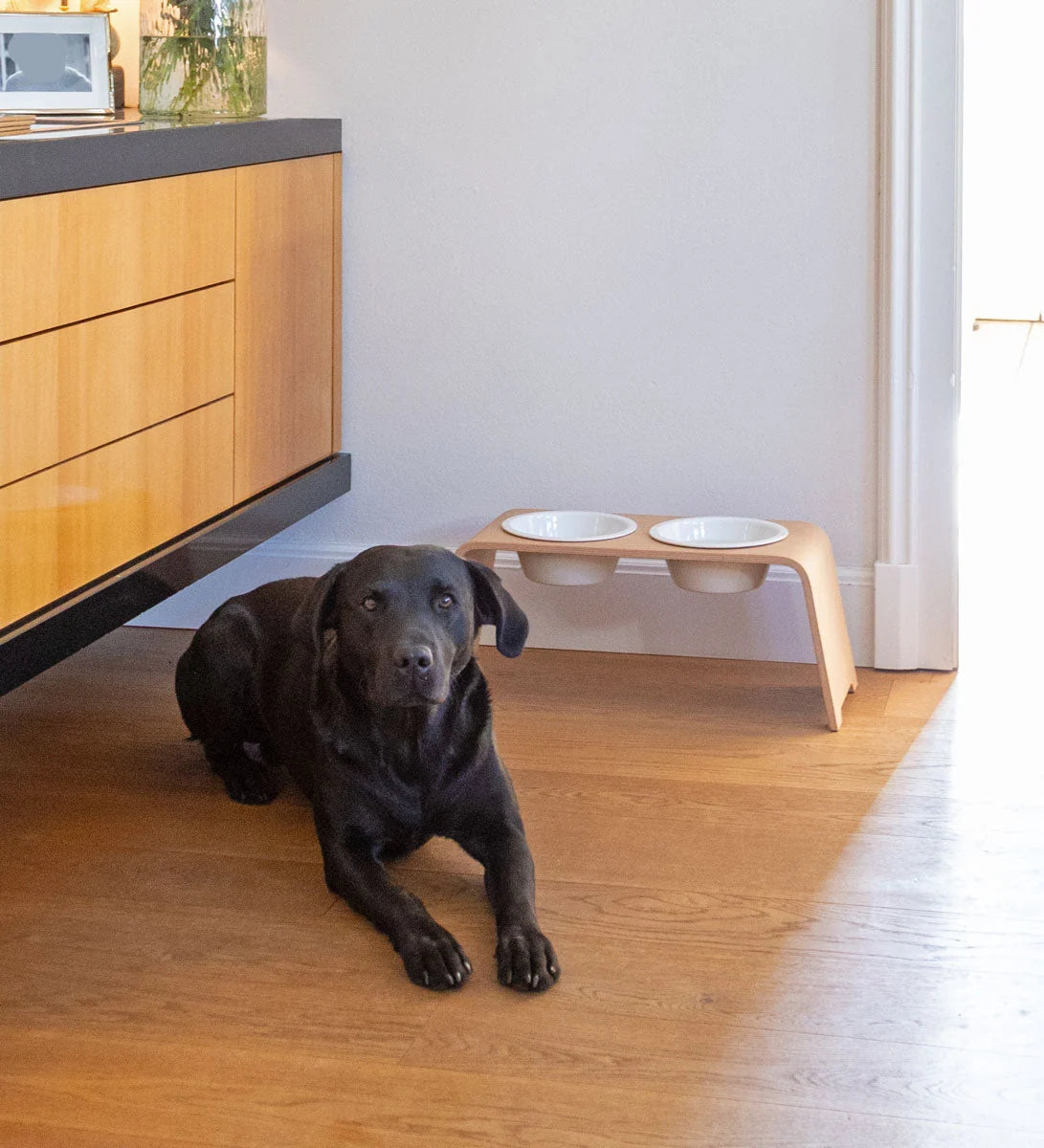 dogBar