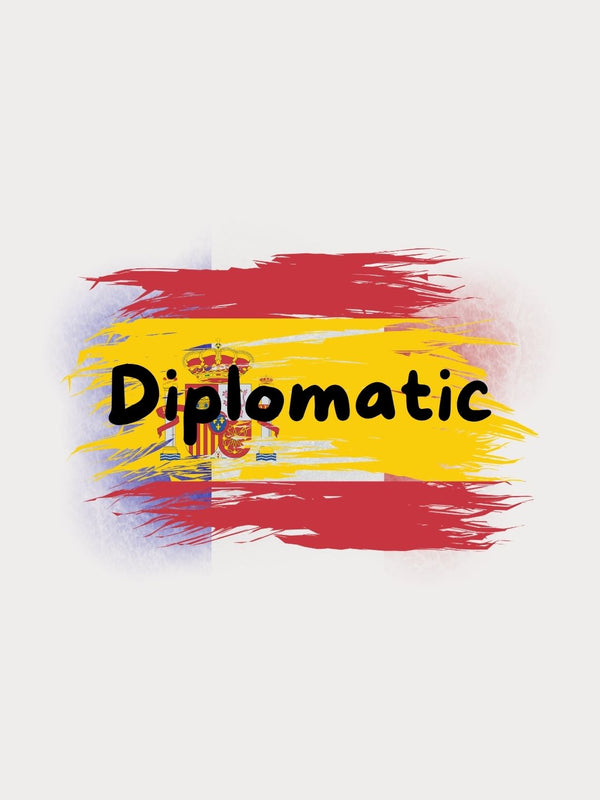 Diplomatische Lederschuhe