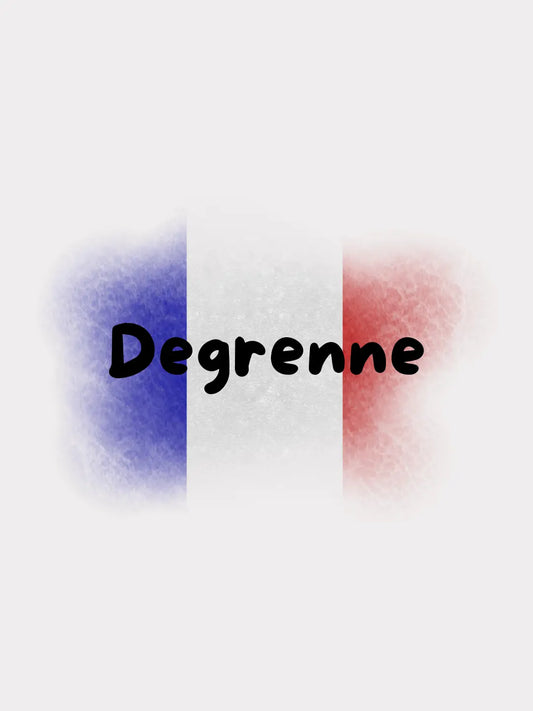 Degrenne - Kitchen and table accessoires